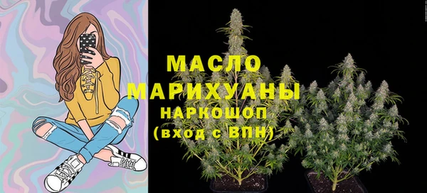 твердый Инсар