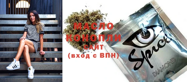 твердый Инсар